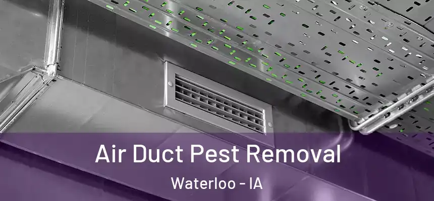 Air Duct Pest Removal Waterloo - IA