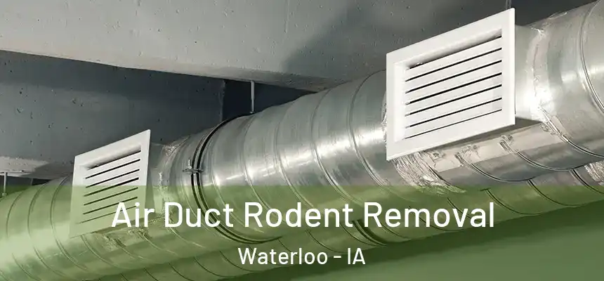 Air Duct Rodent Removal Waterloo - IA