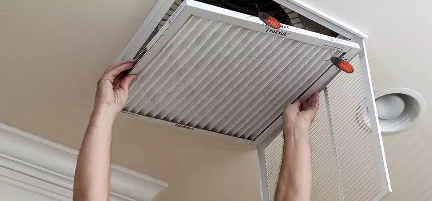 Preventive Cockroach-Proofing for Ducts in Waterloo