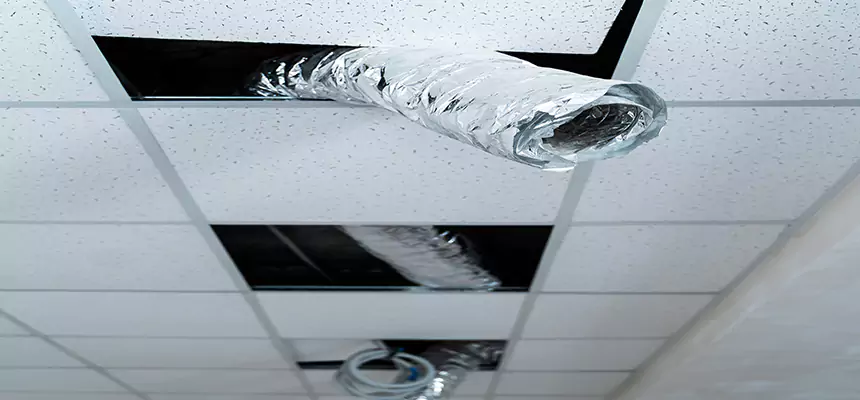 Affordable HVAC Sanitizing After Pest Removal in Waterloo