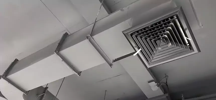 Restorative Allergy Relief Vent Cleaning – Coil, Blower & Housing Detail in Waterloo