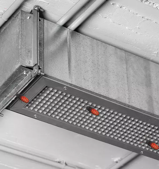 About Air Duct Cockroach Removal in Waterloo, IA