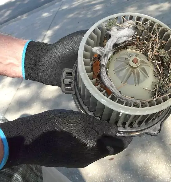 About Air Duct Mice Removal in Waterloo, IA