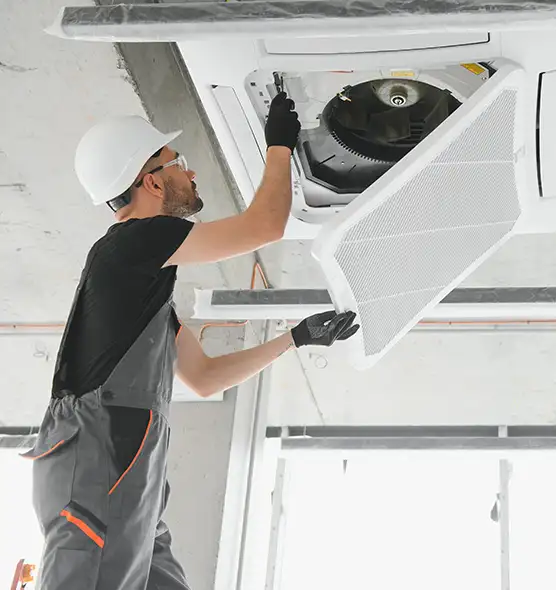 About Air Duct Rodent Removal in Waterloo, IA