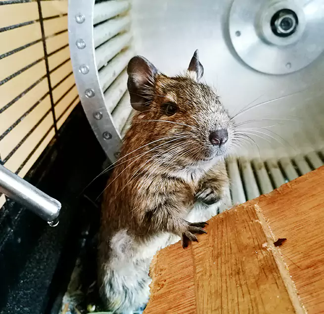 Why Homeowners & Businesses Trust Us Waterloo, IA