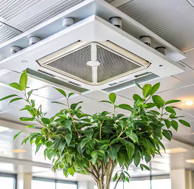 Why Homeowners & Businesses Trust Us in Waterloo, IA