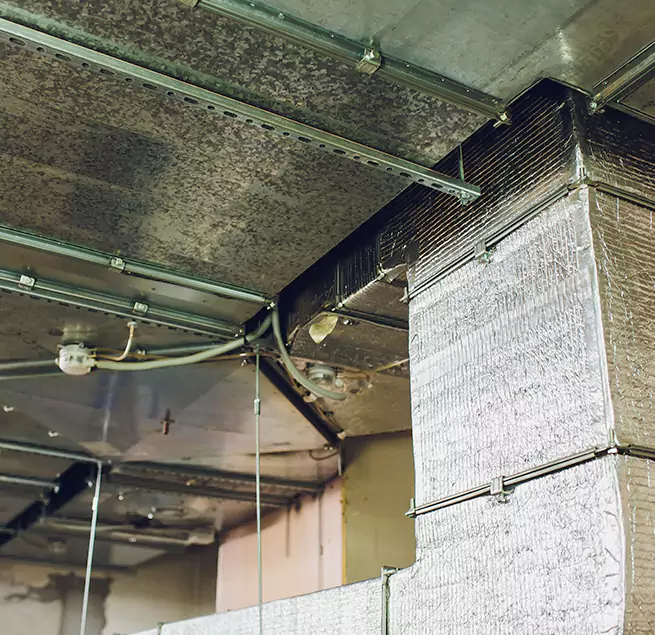 Why Homeowners & Businesses Trust Us in Waterloo, IA?